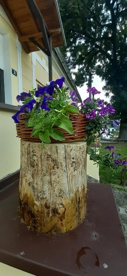 Hotel Penzion U Draci Skaly à Svojse Extérieur photo